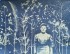 #cyanotype