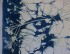 #cyanotypie workshop, #gelderland, #Zutphen, #cyanotypie, #workshop blauwdruk